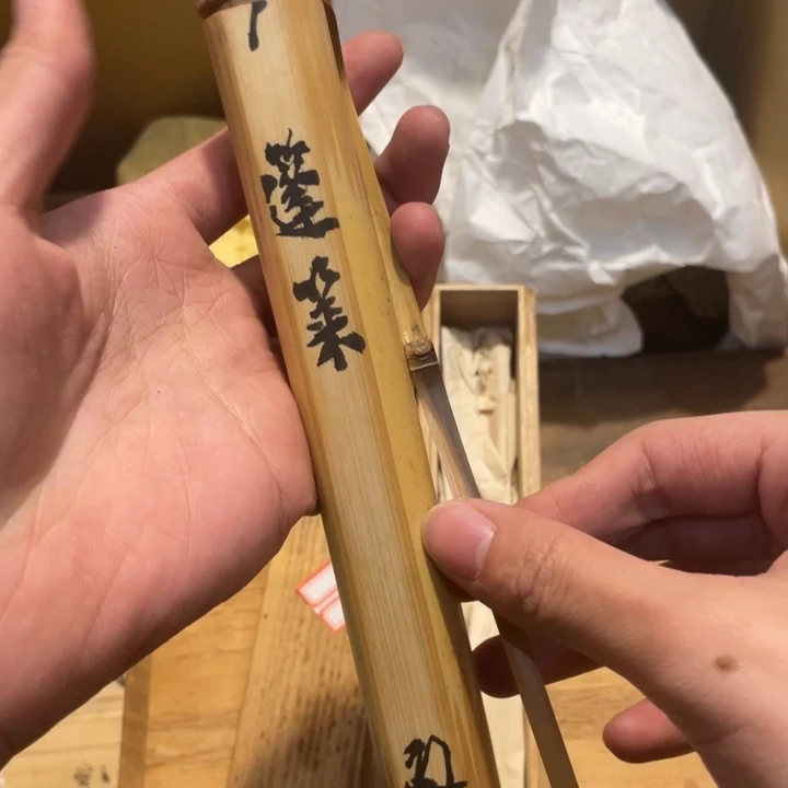 大更多的观后感zd