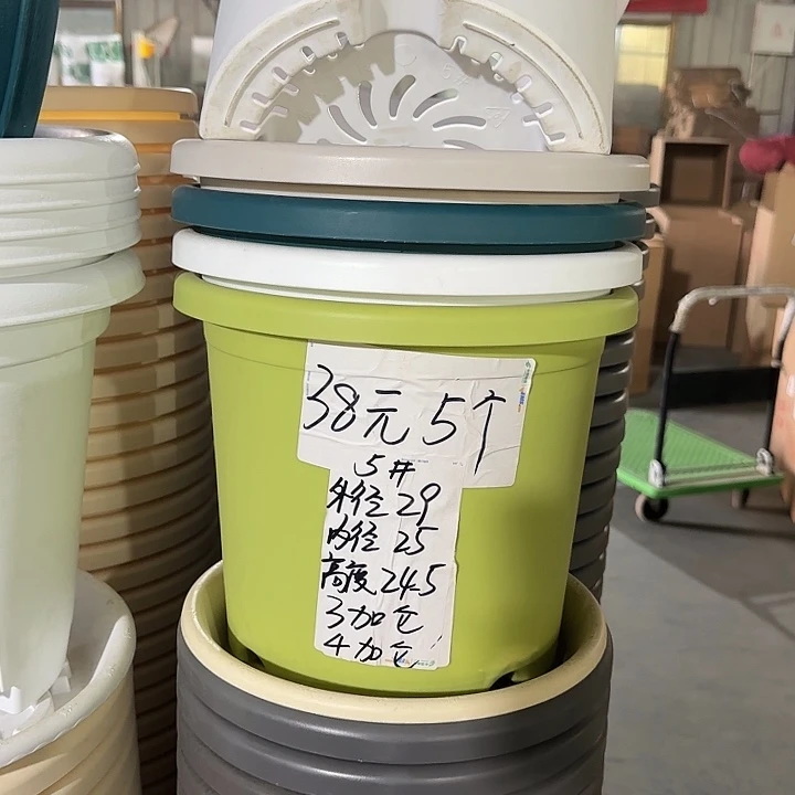 微瑕5#口径29无托果绿10个
