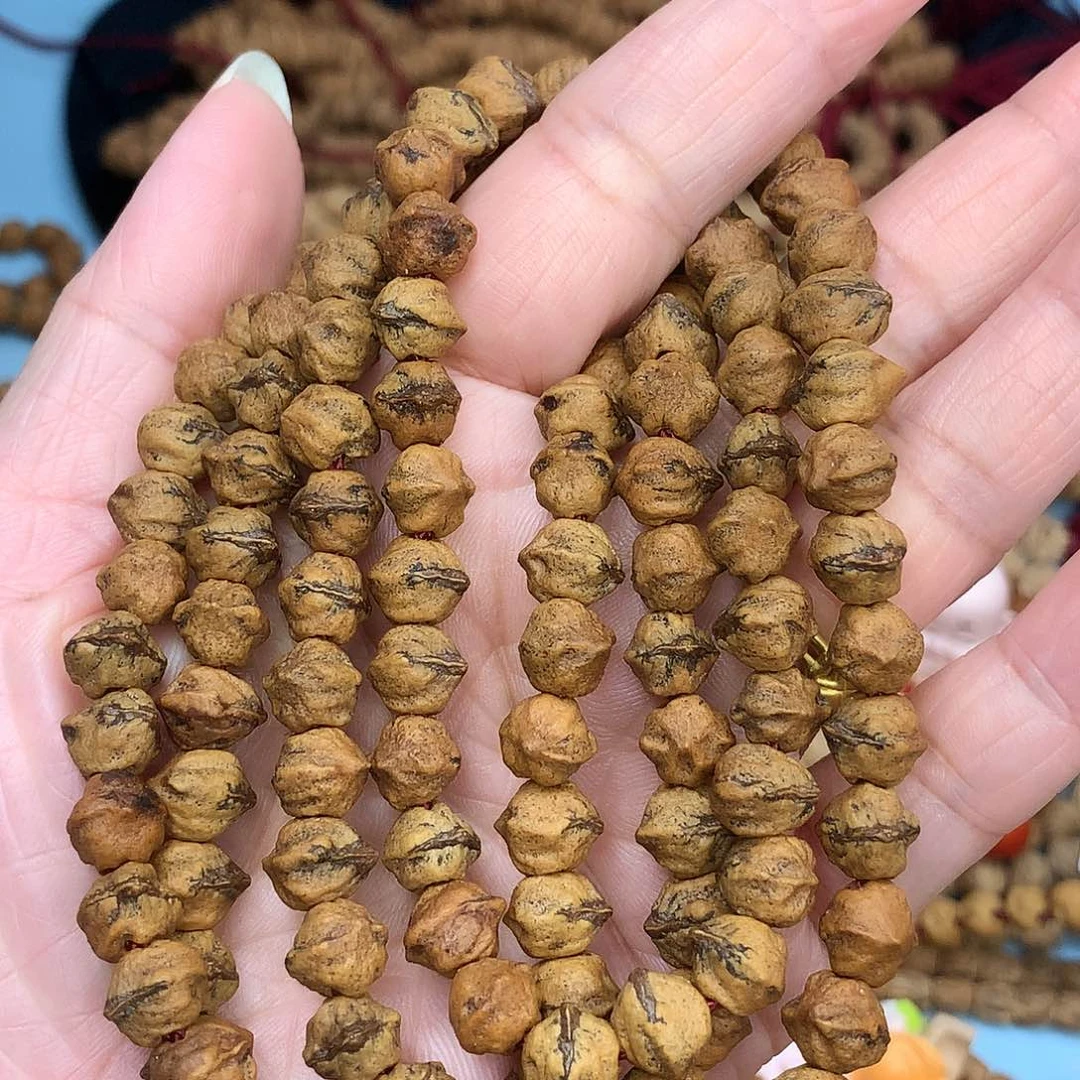 栢香籽！红芽原桩横打