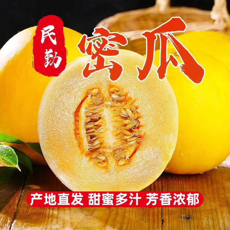 甘肃民勤黄河蜜瓜香甜多汁新鲜水果产地直发脆甜黄皮哈密瓜甜瓜