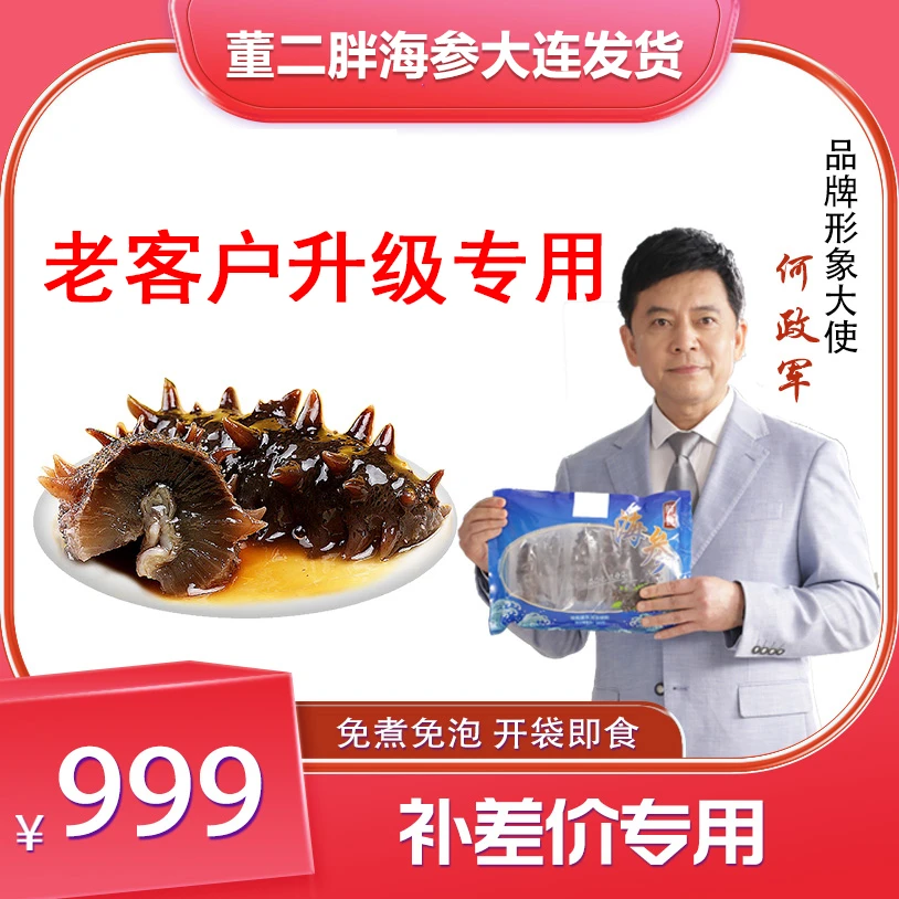董二胖5-6头/500g【升级专用】999升级海参专用链接高品质