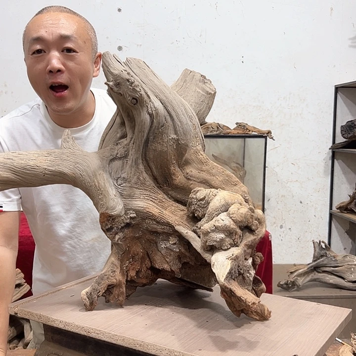柏木肇*我们的生活也是如此的