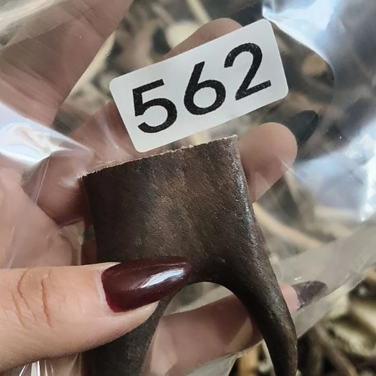 【***】鹿角鹿角鹿角鹿角鹿角鹿角