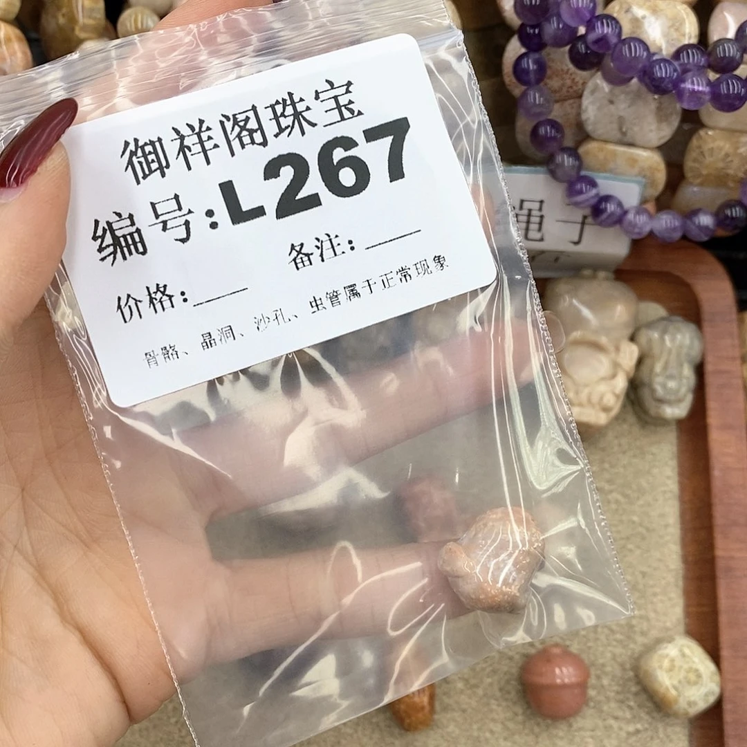 硅化珊瑚（珊瑚玉）L198未镶嵌考*拉