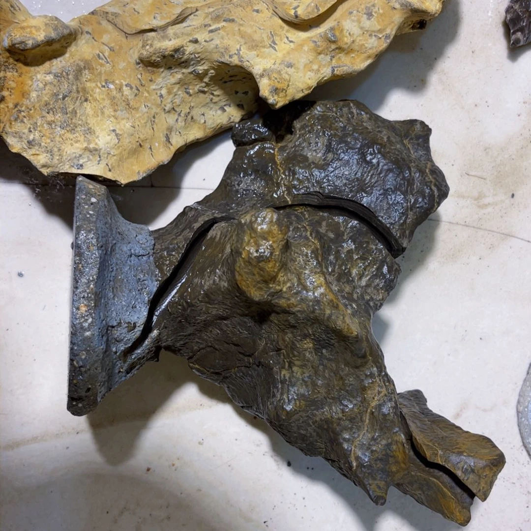 稀*附石盆景一物一拍