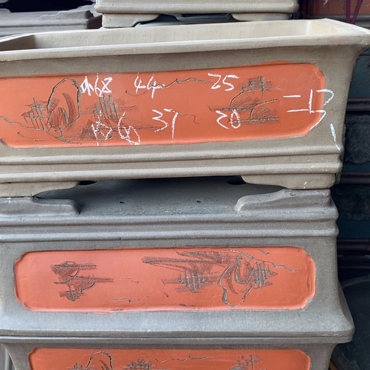 花盆紫砂只顾看电视