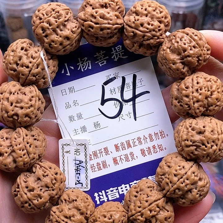 手串金刚菩提24.5/25双龙