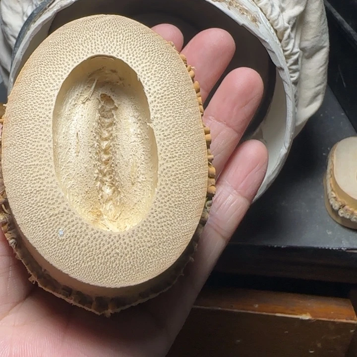 蛋****竹根竹隔一物一拍