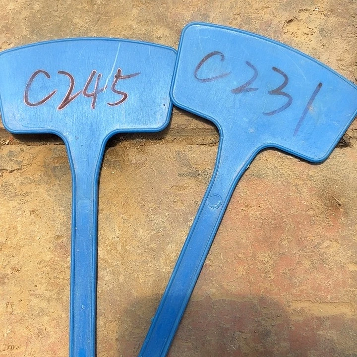 抖***3C245,c231,妹妹超级杏两颗