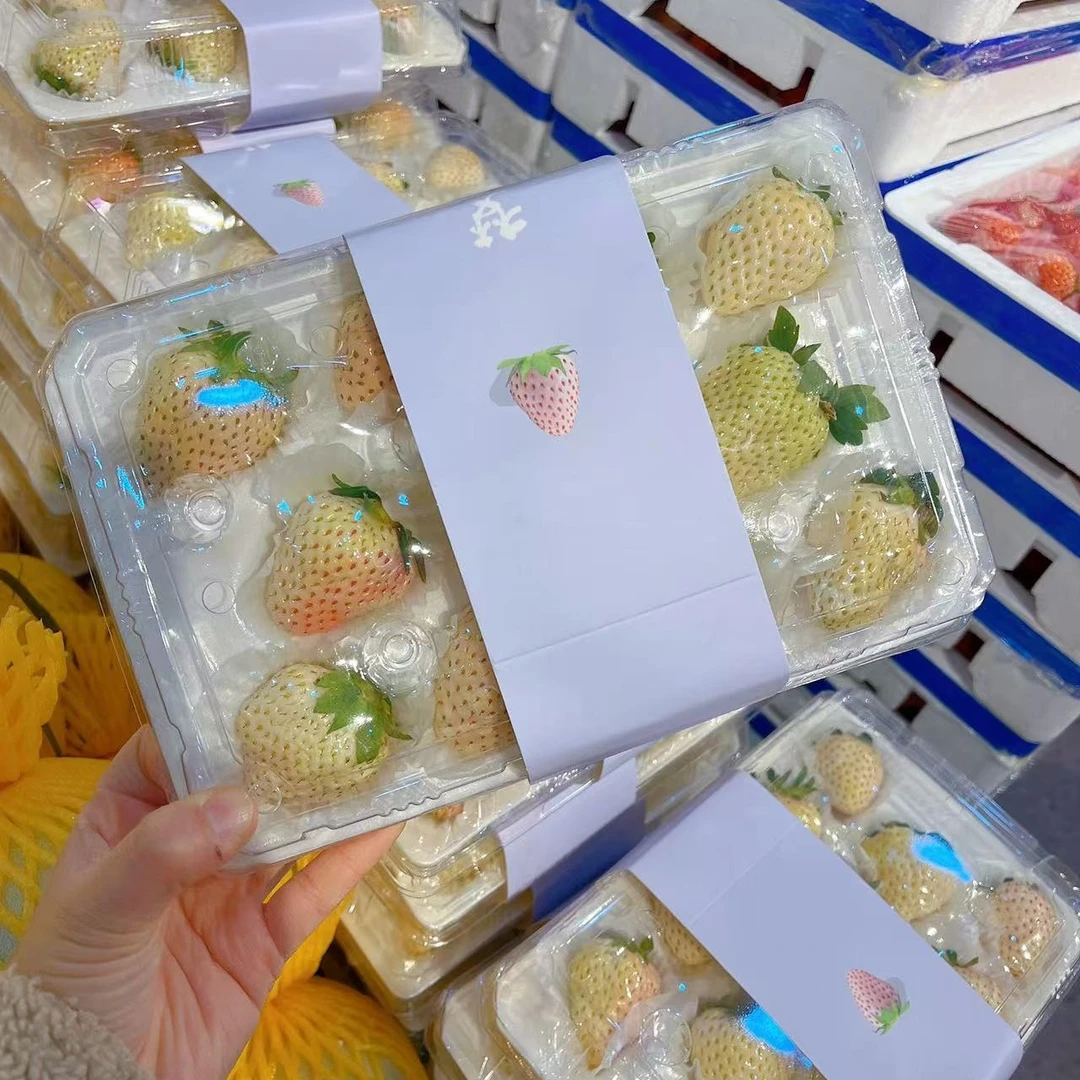 丹东淡雪白草莓25元2盒约500g