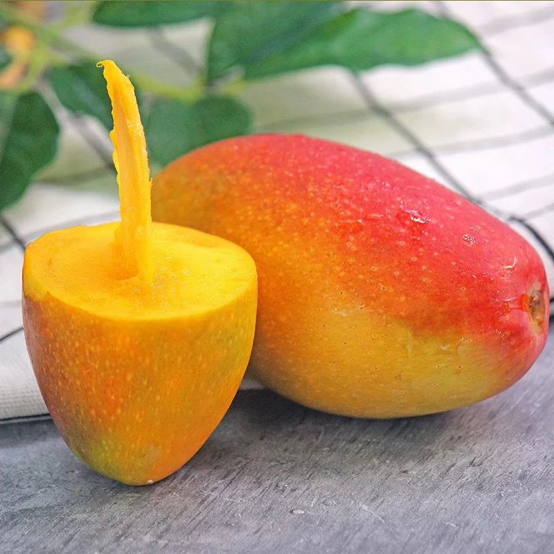 贵妃芒果海南当季鲜果细腻甜蜜 1件3斤起 辽宁发货新鲜芒果海南省