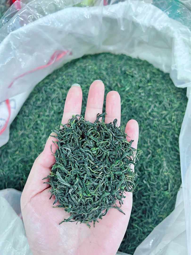 2025年保康店垭新茶雨前新茶浓香炒青袋装礼盒云雾茶