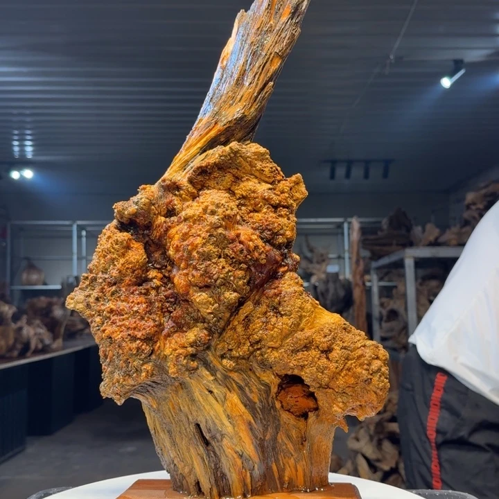 木点***福王一刀琥珀木143