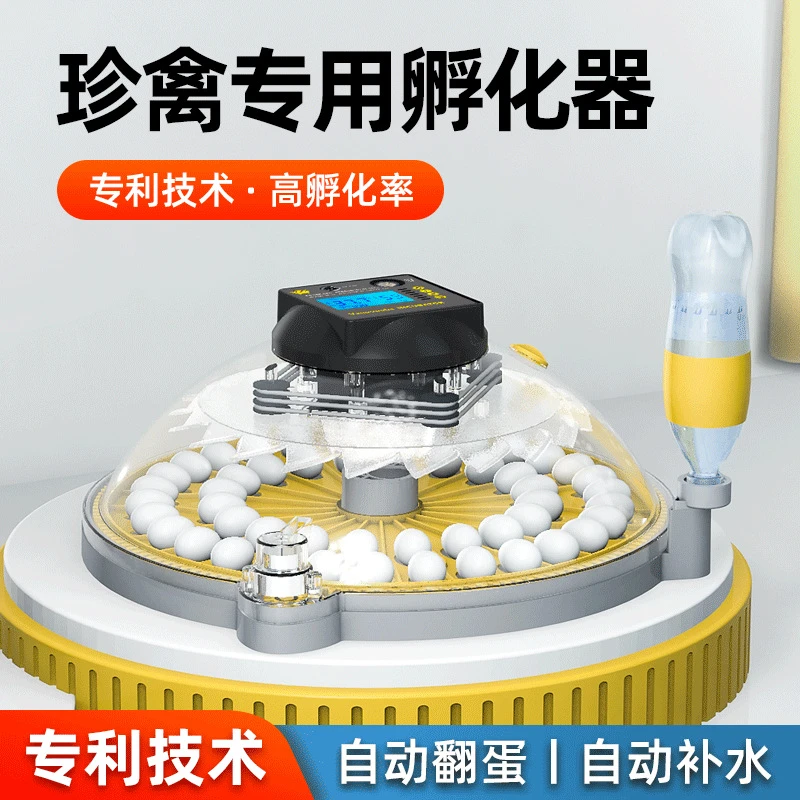 小型家用全自动智能小飞碟鹦鹉鸟蛋芦丁鸡孵化箱孵蛋器孵化器