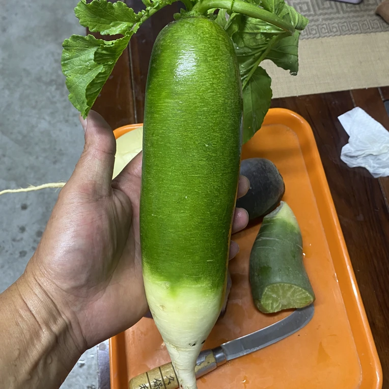 潍坊水果萝卜脆甜不辣多汁5斤/9斤装包邮到家