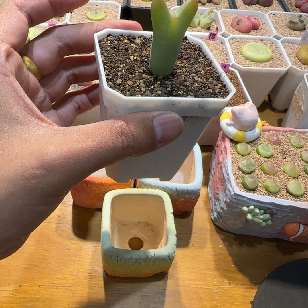 红陶K****s我们的目标是成为一名优秀的