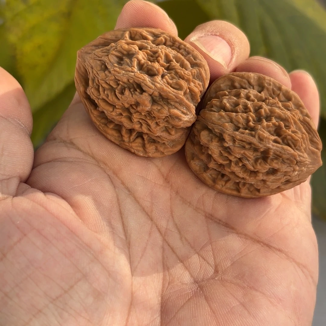 文玩核桃把件麦穗虎头