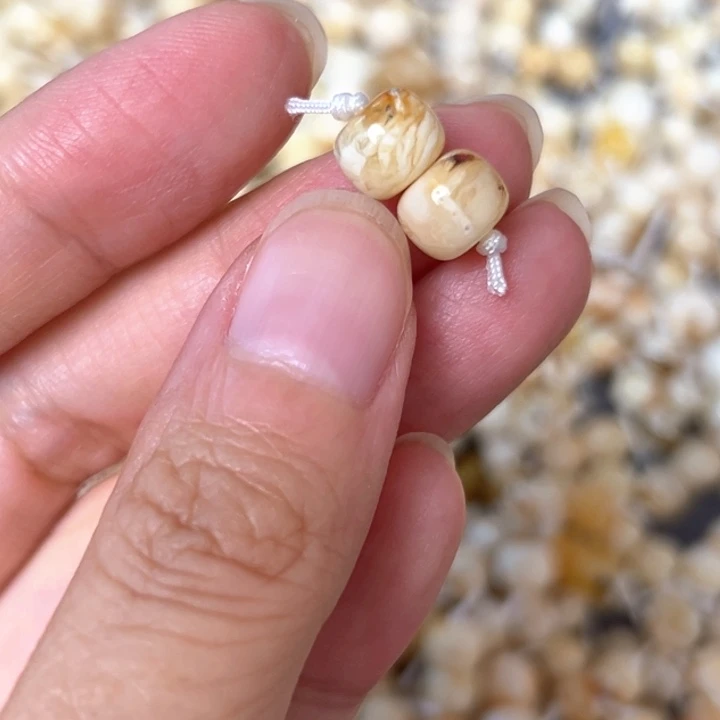 裸石蜜蜡未镶嵌8.1mm一对