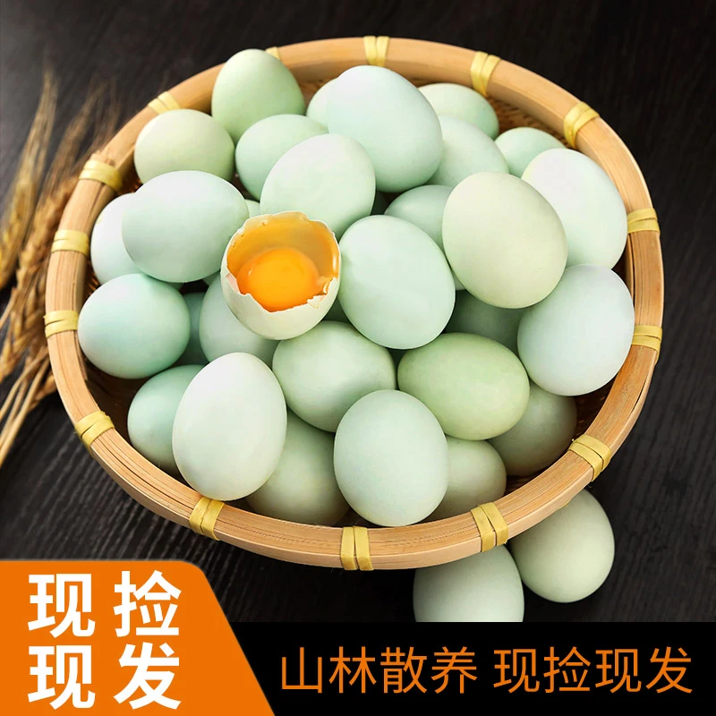 顺丰发货正宗绿壳蛋农家散养新鲜现捡山地跑山鸡蛋