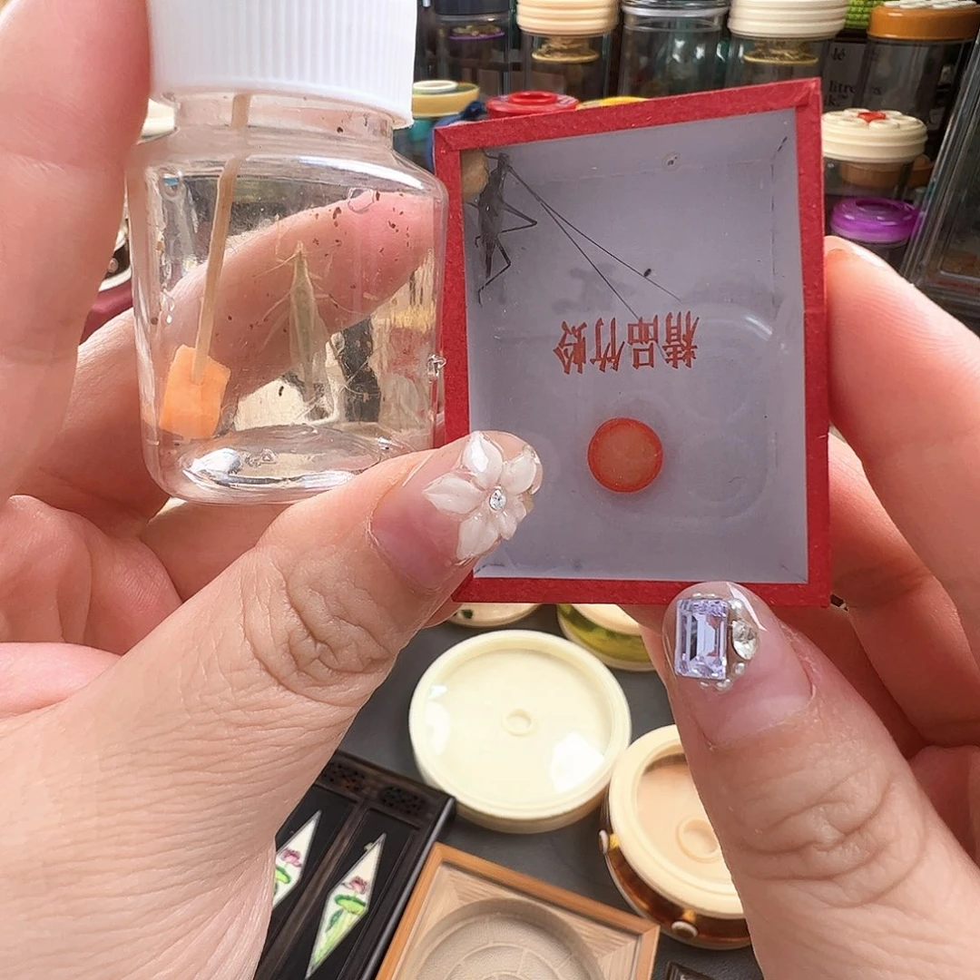 哈哈哈紫竹和柬埔寨