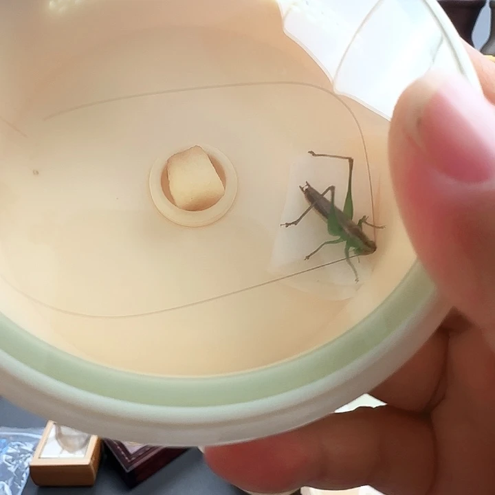 糖果1只啊啊啊啊啊