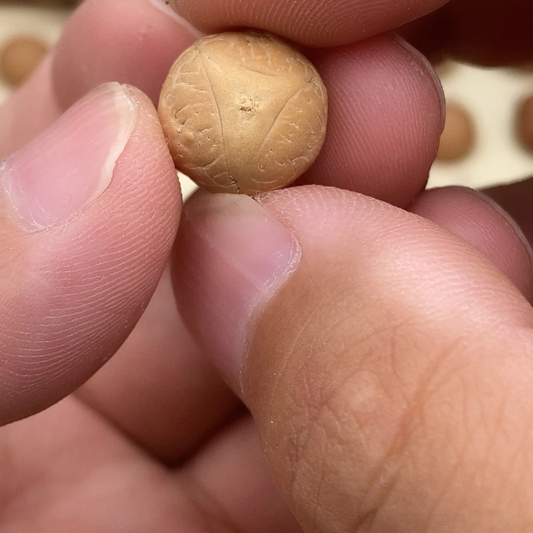 凤眼菩提吊坠开播实心龙眼