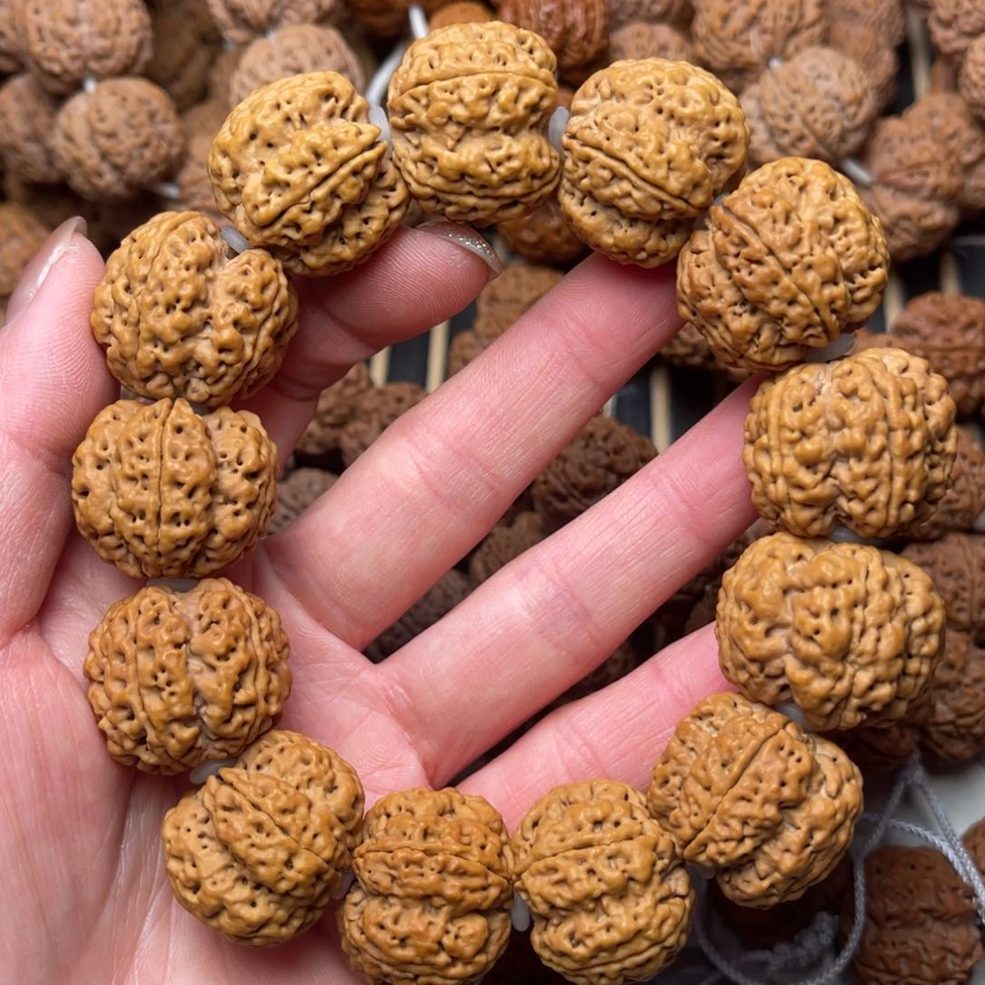 菩提尼泊尔大金刚满肉双龙梅花24+