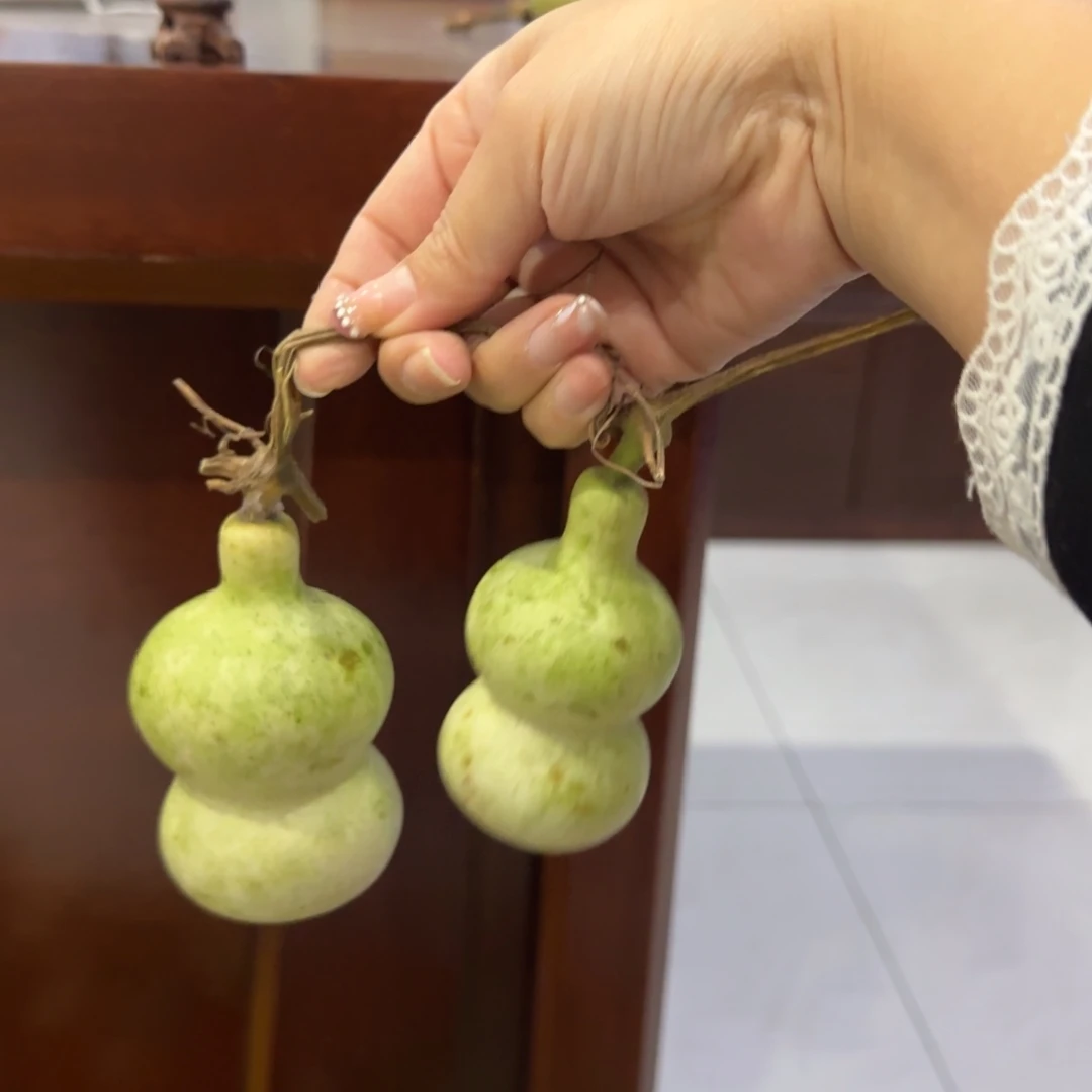 青皮不包成青皮不包成