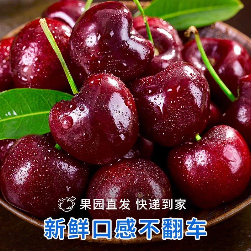 【京东空运】烟台露天美早大樱桃空运新鲜当季