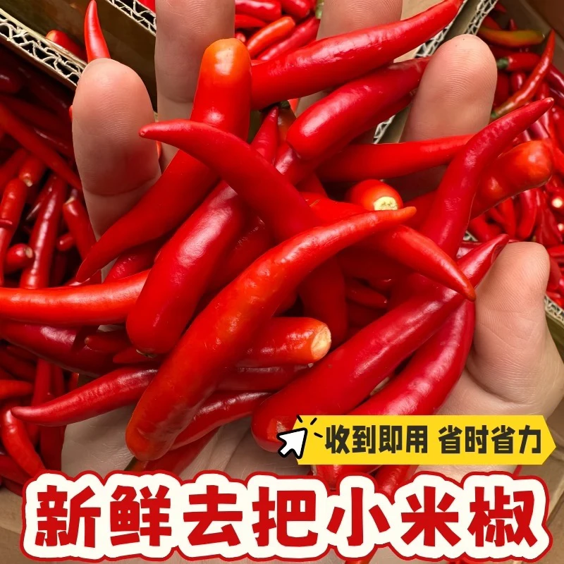 【泡沫箱发货】新鲜现摘特辣去把小米辣泡椒剁椒朝天椒工厂食堂批发