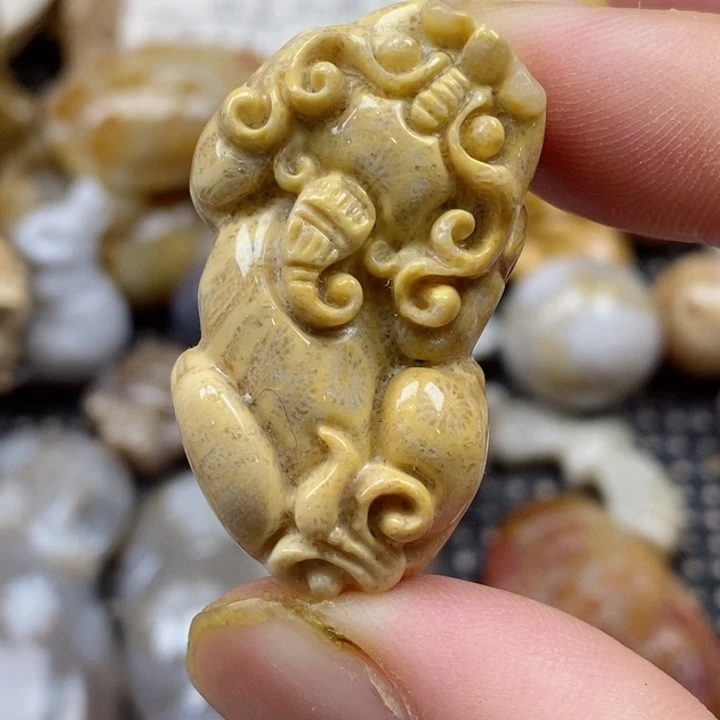 颈饰未镶嵌硅化珊瑚（珊瑚玉）小