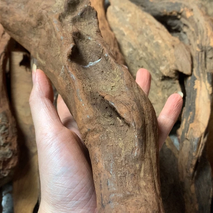 黄花梨/降香黄檀随**风海南黄花梨老料子