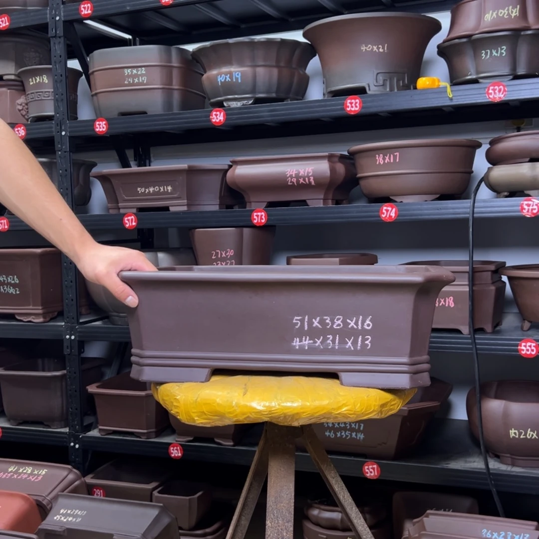 紫砂其他呜呜呜呜