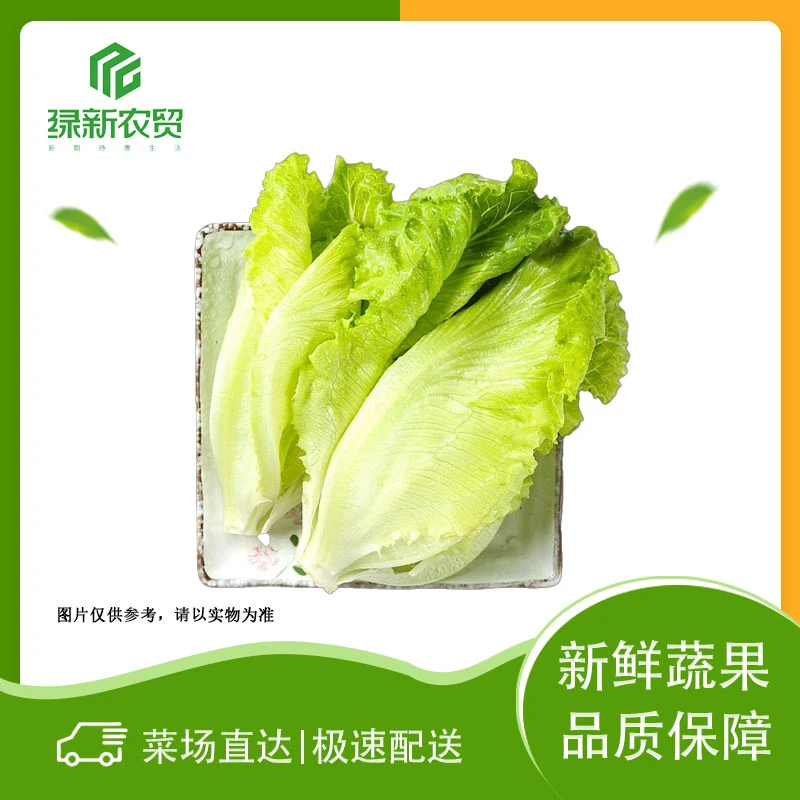罗马生菜 200g±50g/份