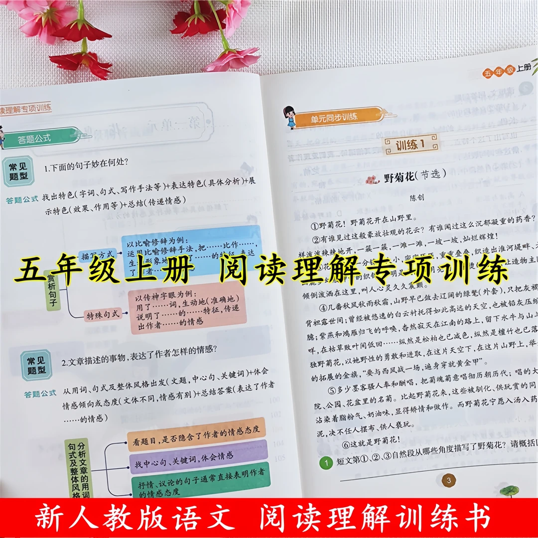 五年级上册阅读理解强化训练人教版语文阅读理解专项训练书天天练