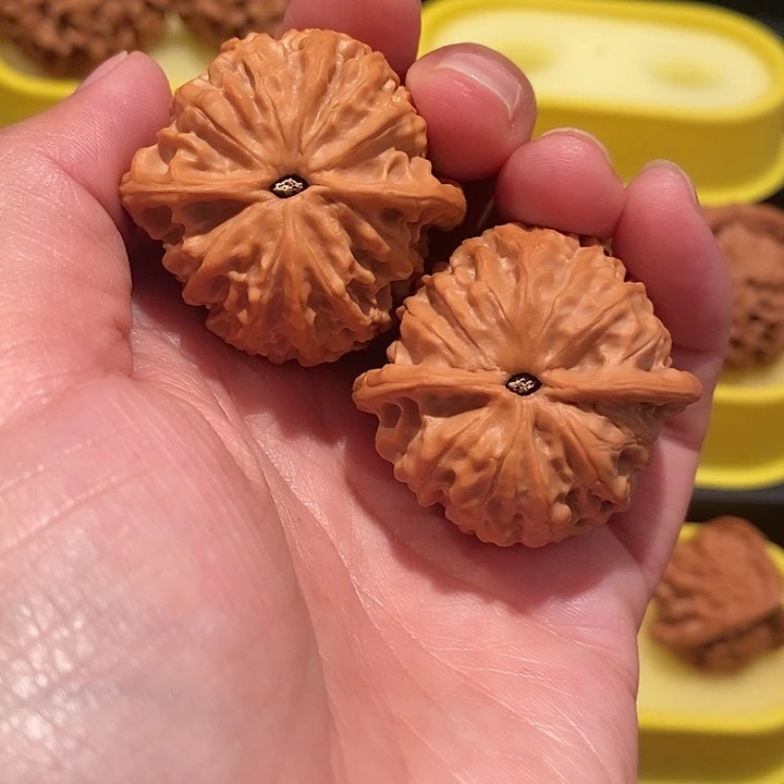 超***兴文玩核桃37+尺金牛，