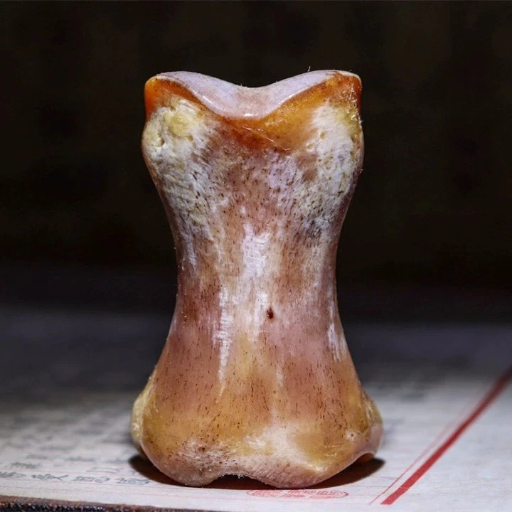 多样性 家居摆件 创意摆件