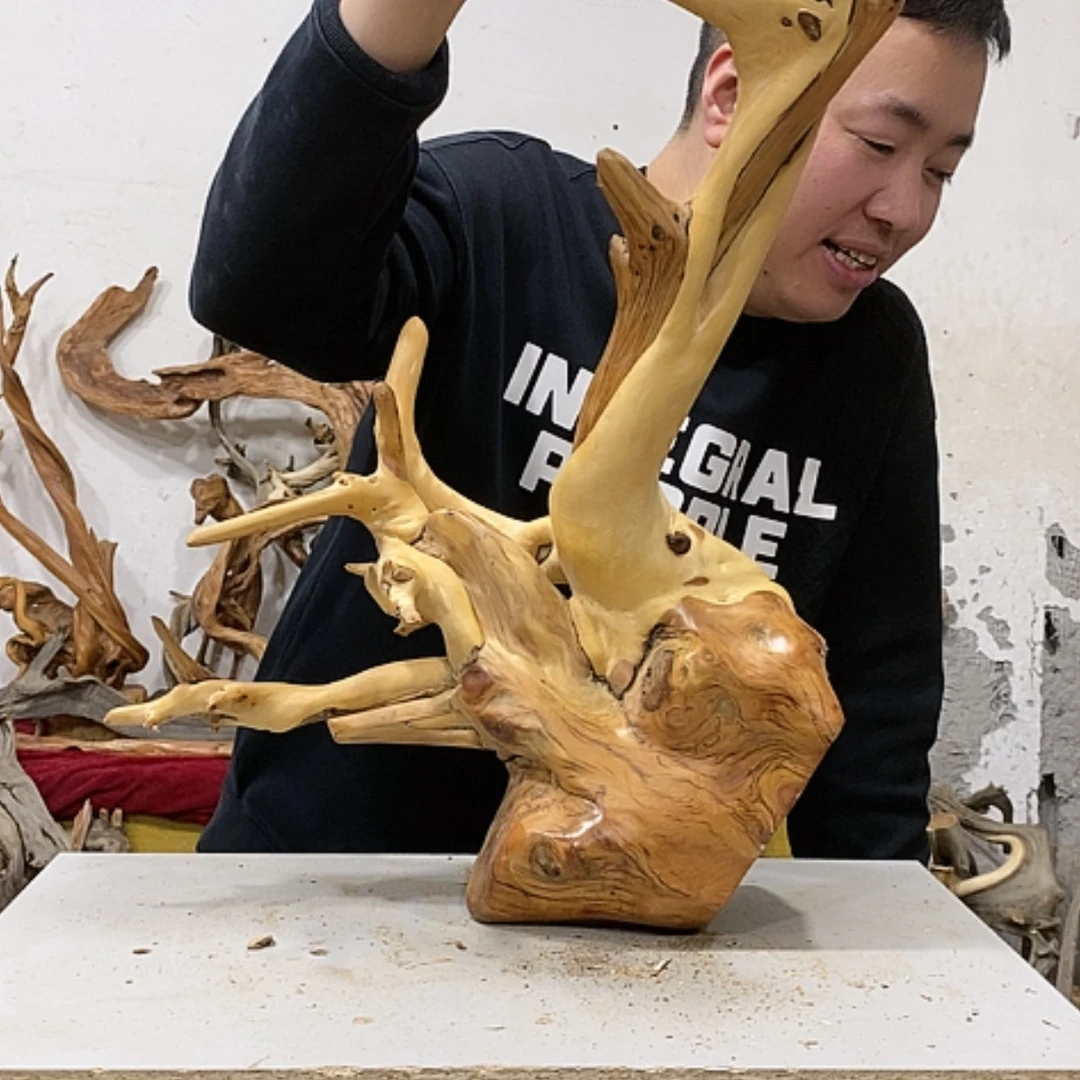 【闪购商品】柏木陈*宝我们都是好孩子