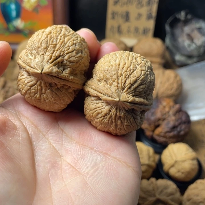 猫***呀云南野生铁核桃编号139