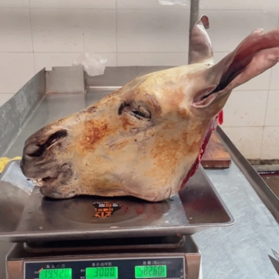 【闪购商品】冷冻保存30天包装河北省四*