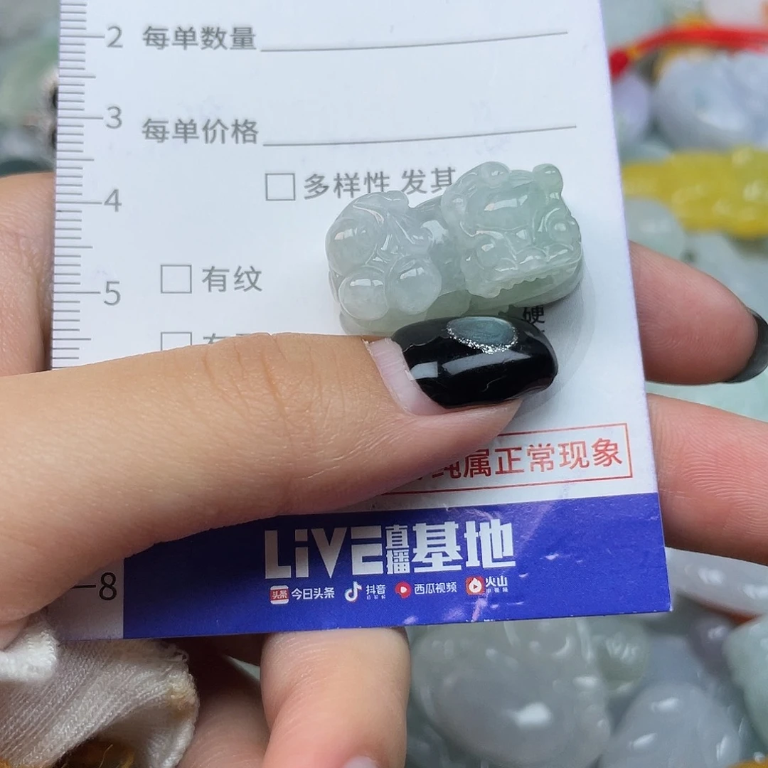 翡翠未镶嵌颈饰1409
