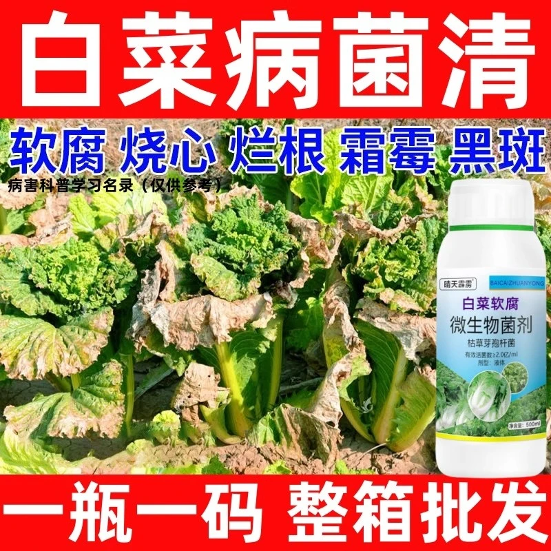 白菜大白菜根腐病软腐病立枯病炭疽病大白菜微生物菌剂正品
