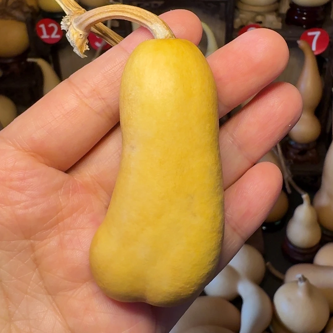 ****花479987789988999999