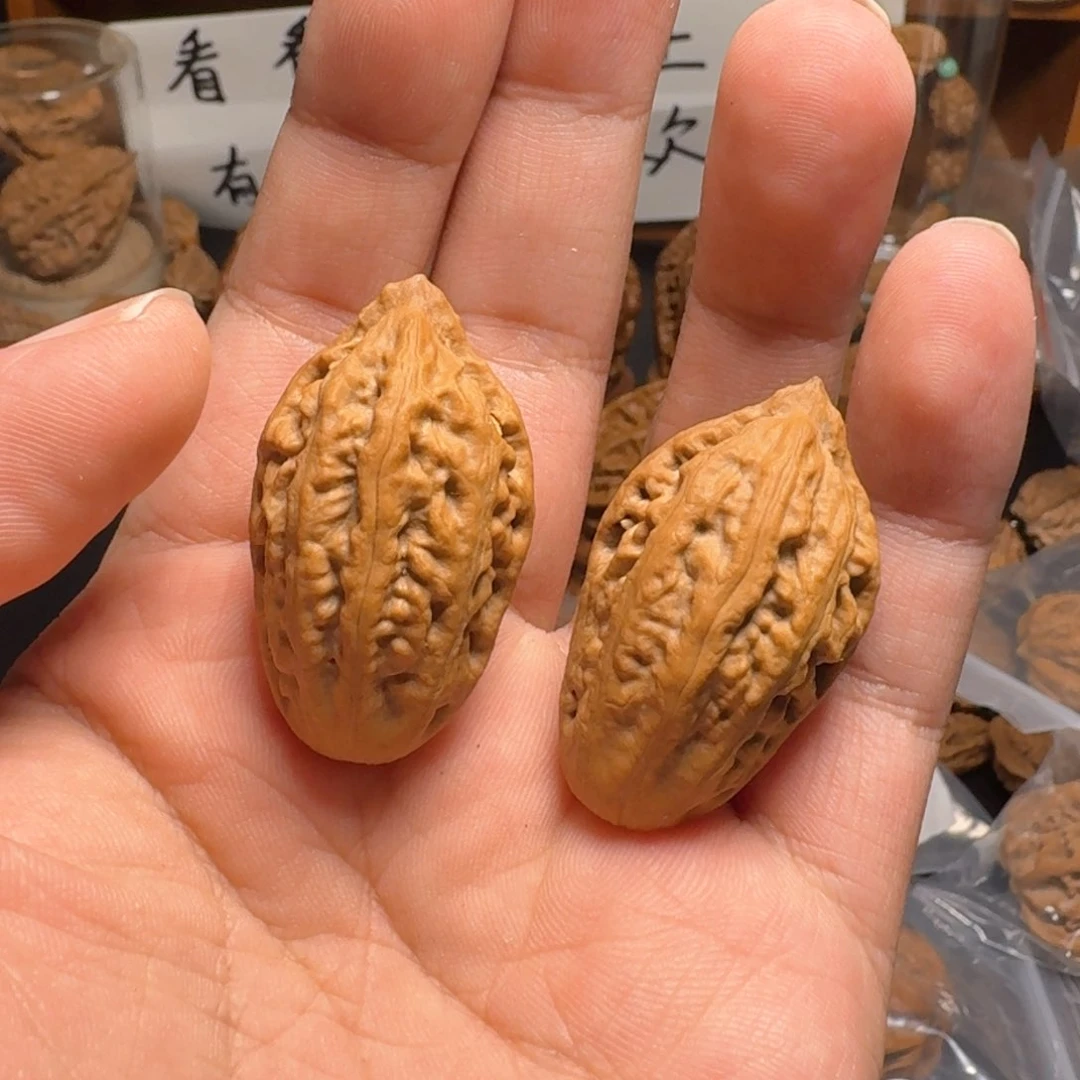 文玩核桃把件金蚕蛹绝版