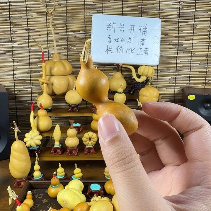 太***花葫芦哈哈哈哈哈哈哈