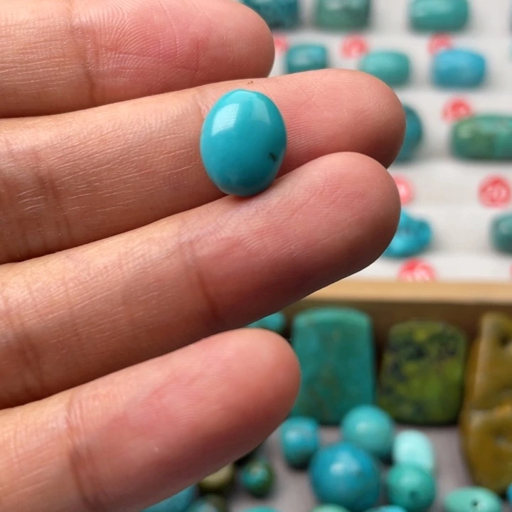 纳菲粉丝专属福利