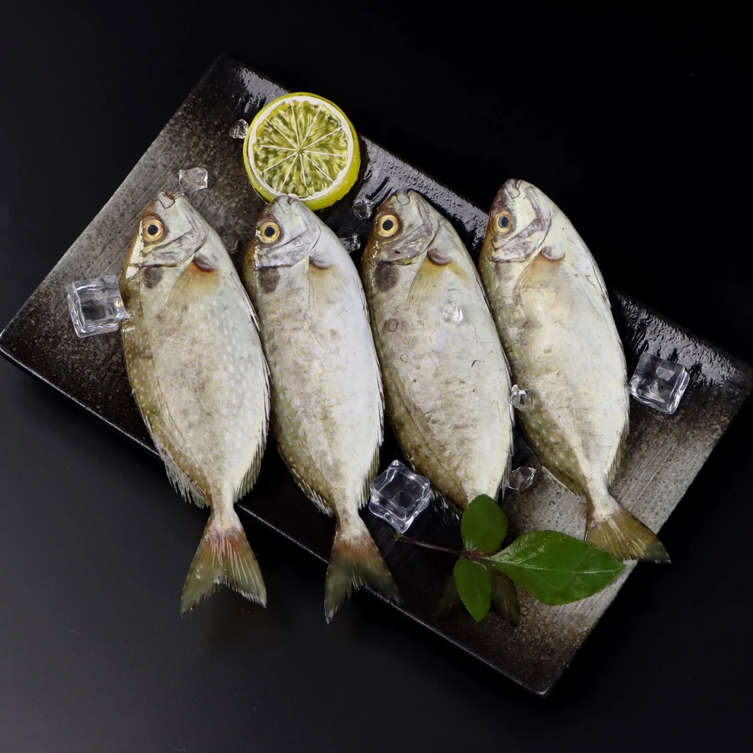 汕头海门港海鲜 黄体鱼 泥猛鱼 广东省内顺丰包邮