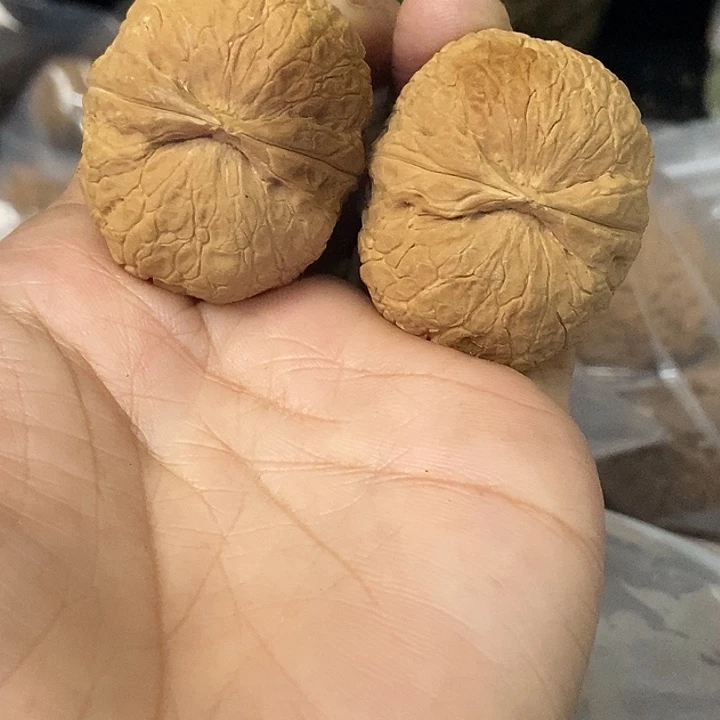 文玩核桃把件云南铁核桃基地90