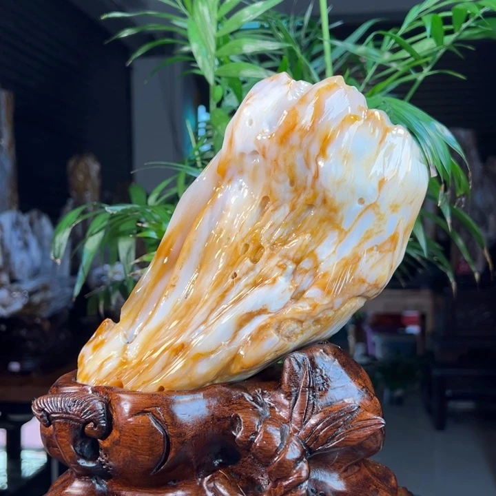 硅化玉（树化玉）未镶嵌珠宝奇石