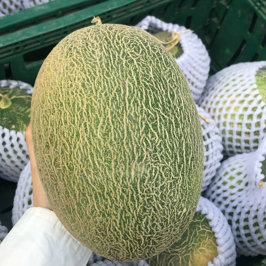 果切同城送〖外卖〗哈密瓜1个（备注切盒）